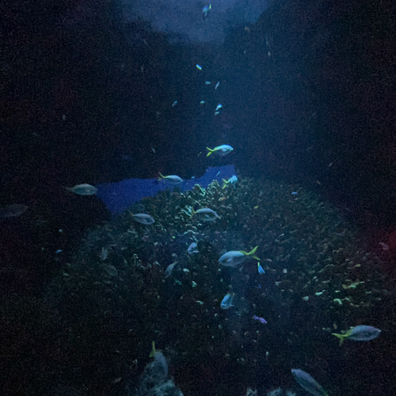 自問自答with ChatGPT