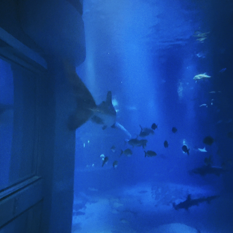 尖った質問に答えていく🧒🏻