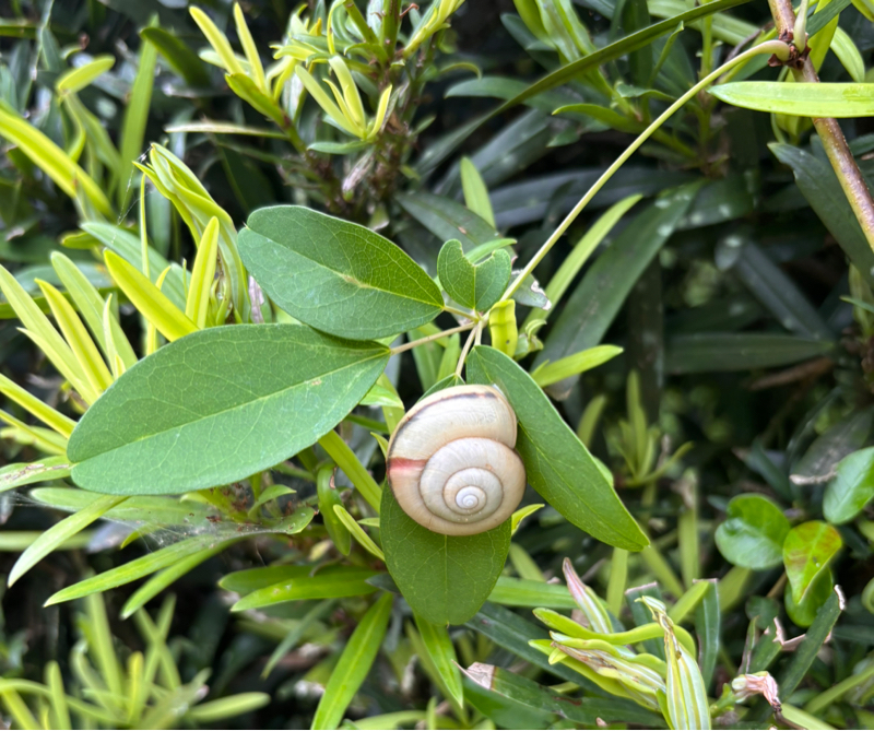 例の日記について