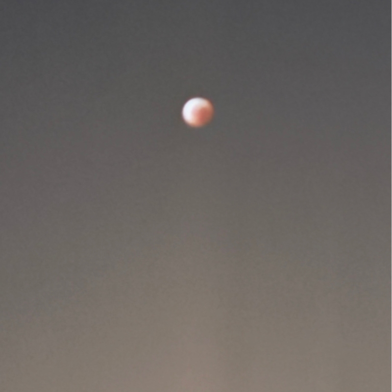 映画のお話二本立て🧒🏻