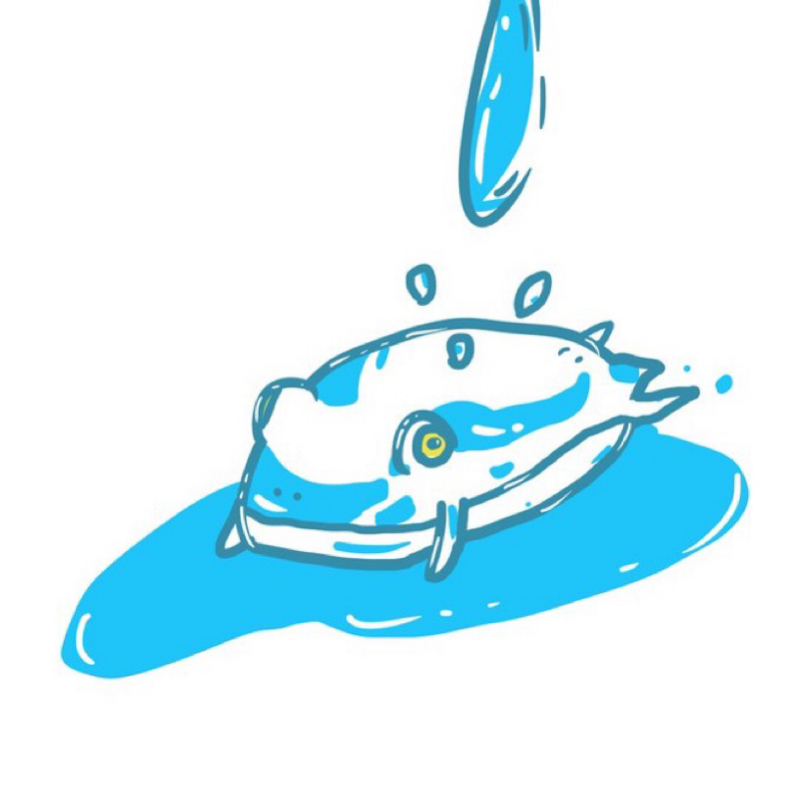 アニマル柄。だから　2026-01-12