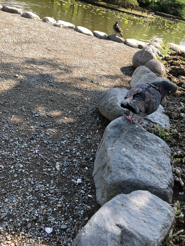 女体化のはなし