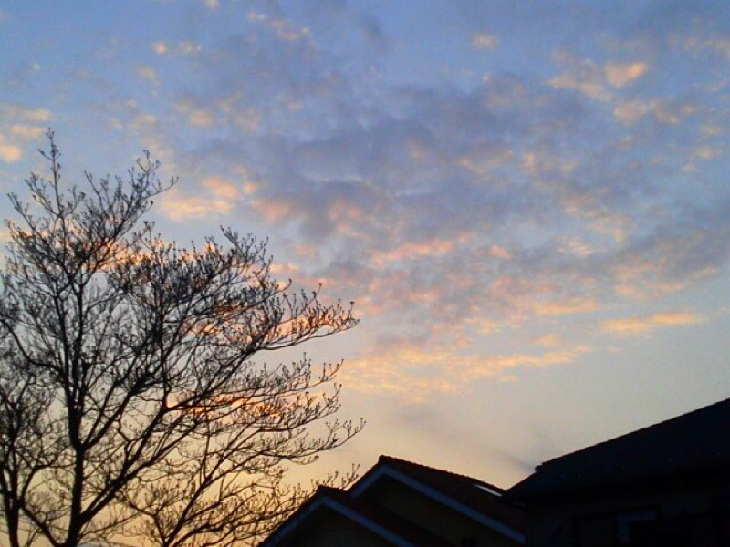 初投稿 陰キャのお話