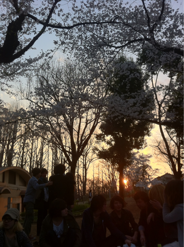 しょうもないアレルギーのはなし