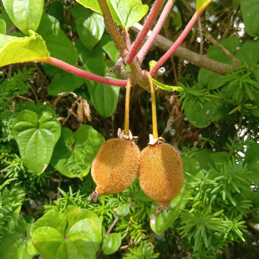 ［お散歩収録］8/9 秋の始まり🍁