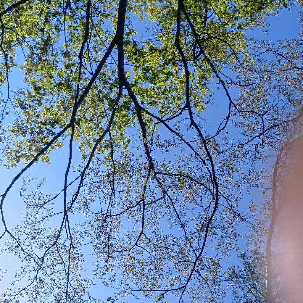 ［お散歩収録］4/25風が冷たく🍃😖💦