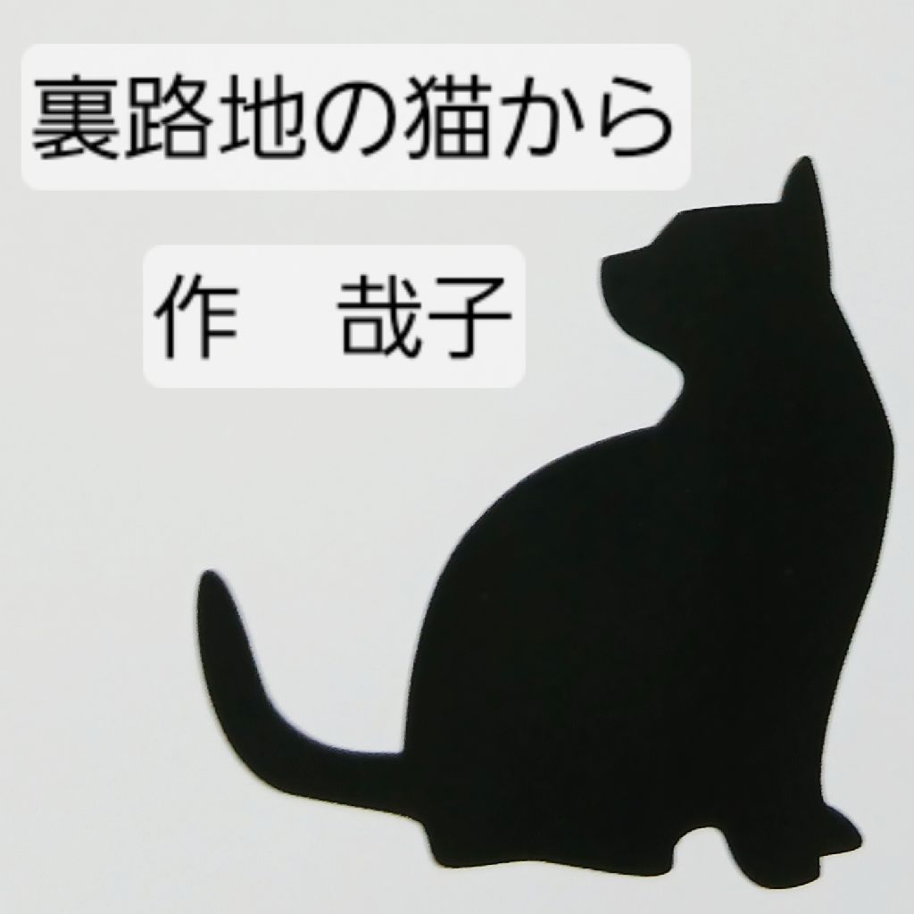 裏路地の猫から(後編)　哉子作