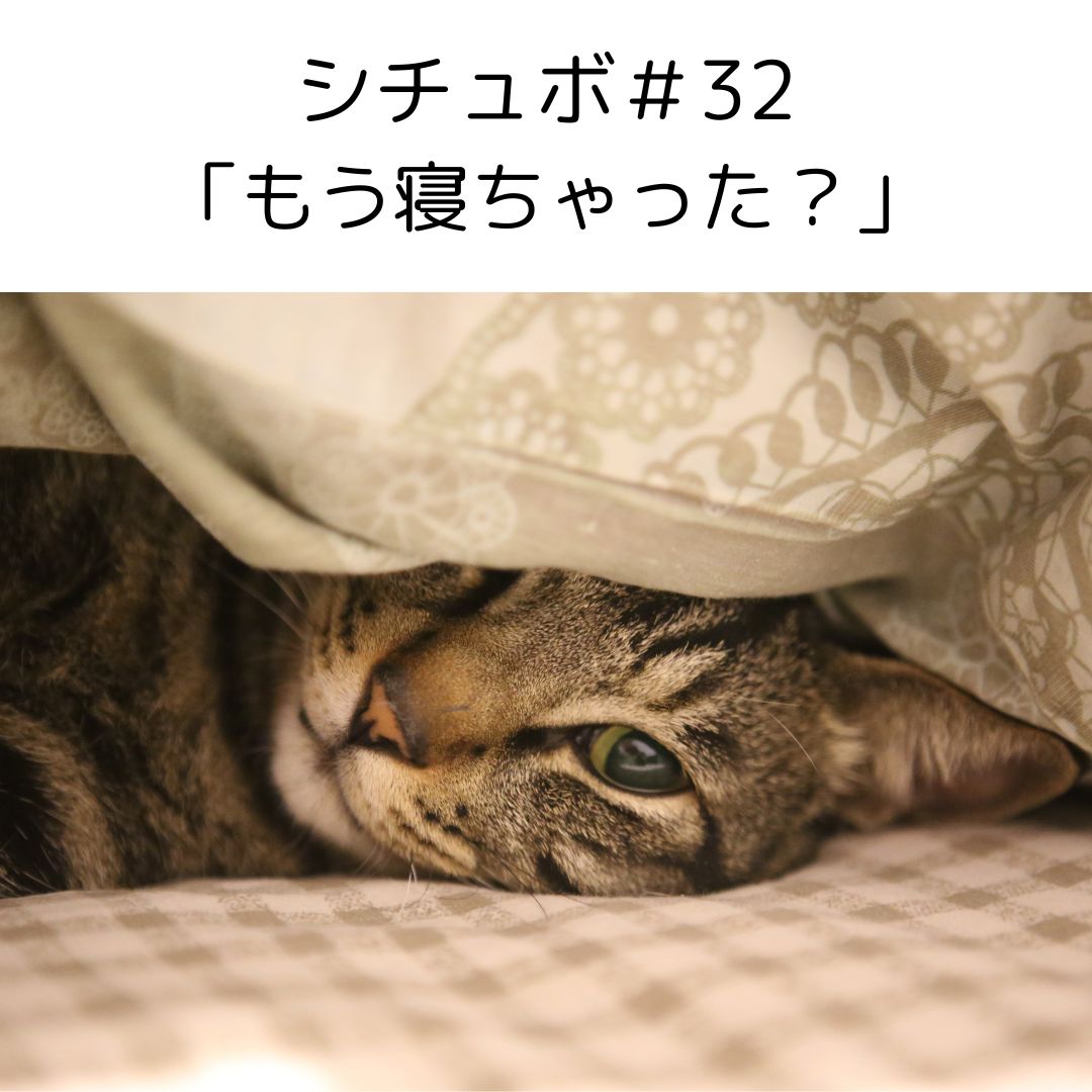 シチュボ＃32　「もう寝ちゃった？」