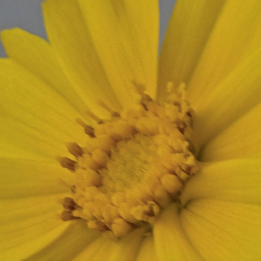 #284 韓国は連休🌾☺