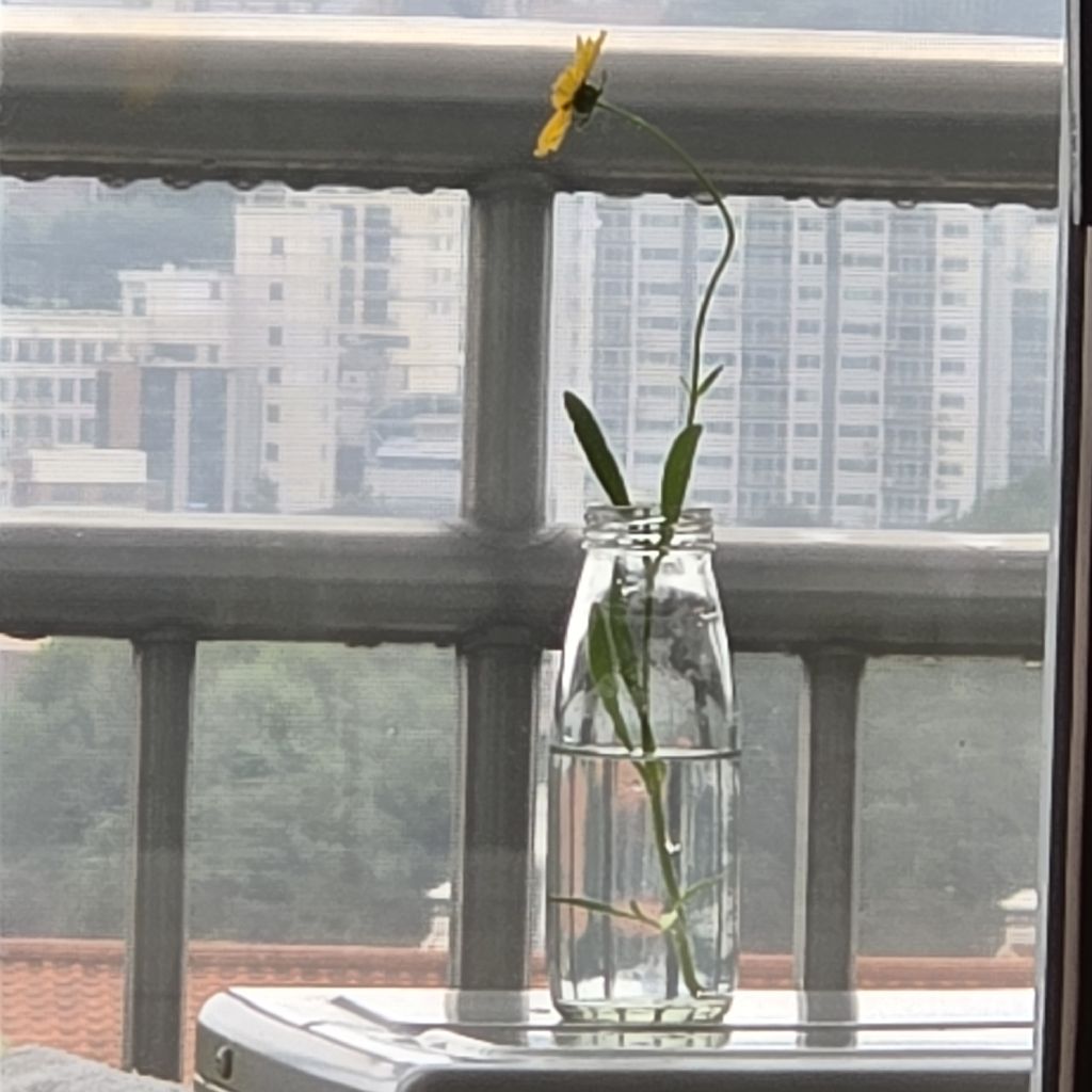 #287 日々の充電🔋大事です🌾