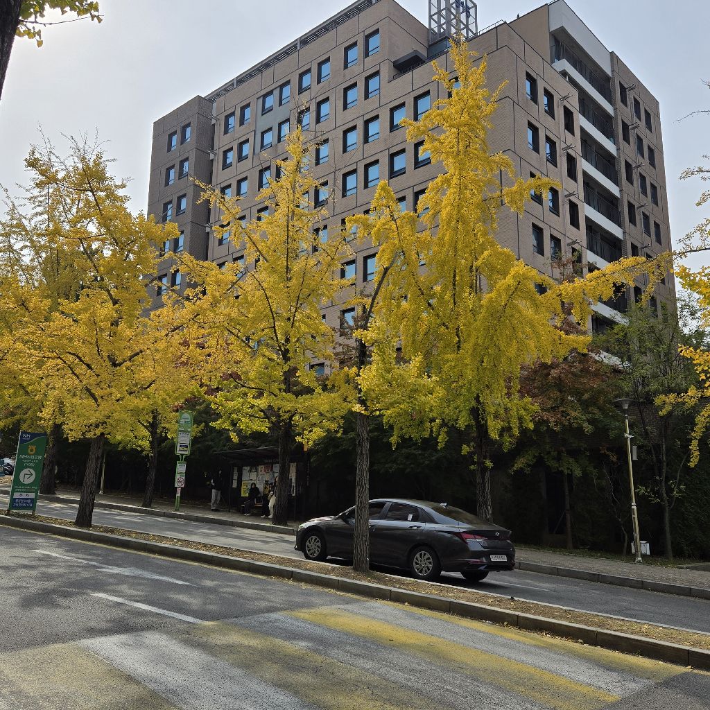 #313 ラブレター❤✉️フレーム・カナダ🇨🇦