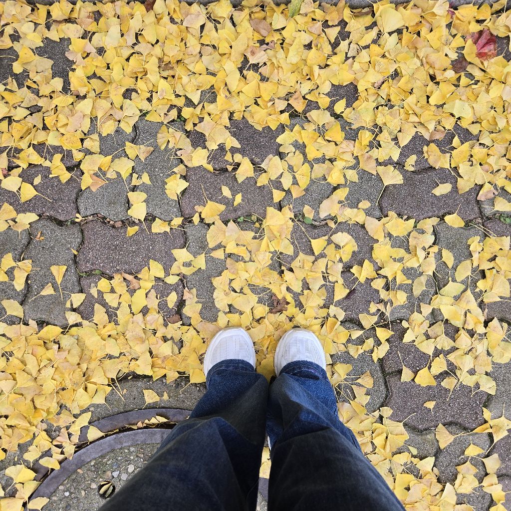 #315 お金とエネルギーの循環:払い戻し・免税の返金😁