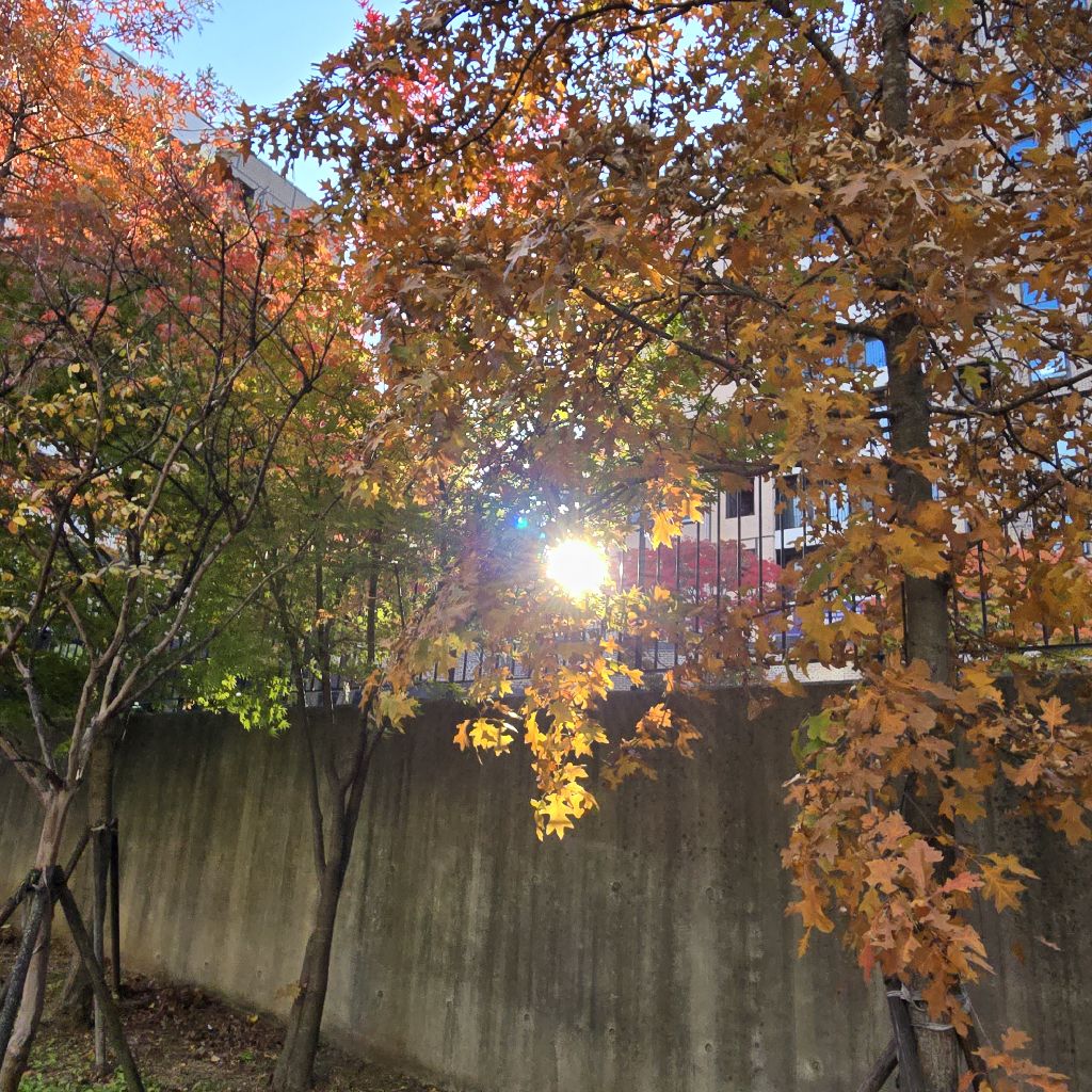 #316 読了📗祈りは己を解放するため