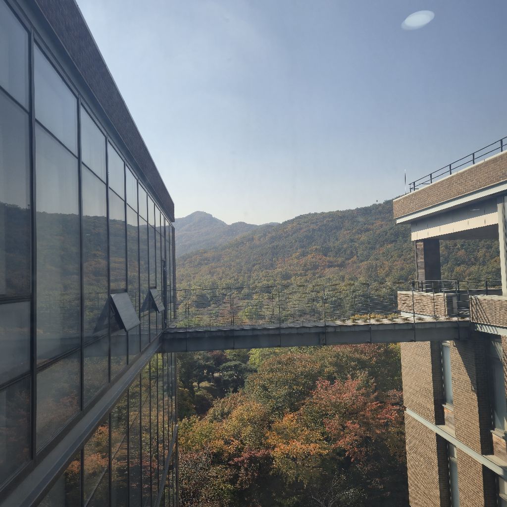 #317 『神さまなんか！』読み始めました