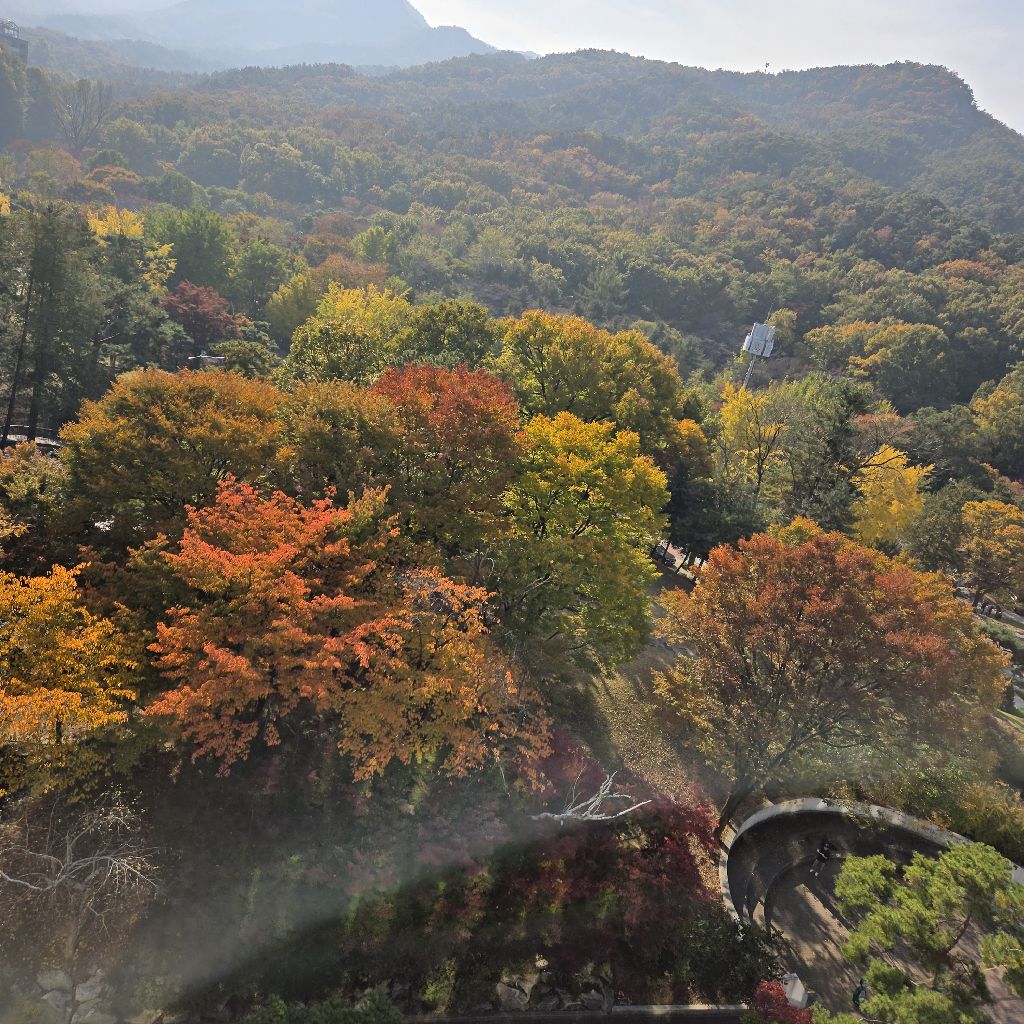 #317 ゴミ箱から偶然拾ったクリスマスパーティの知らせ🦜