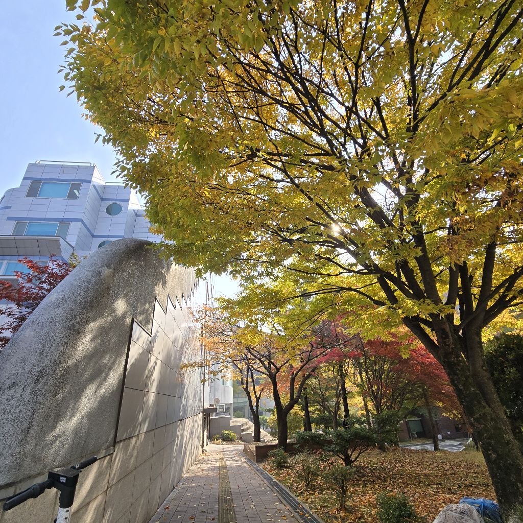 #320 通勤路を山道にかえました⛰️