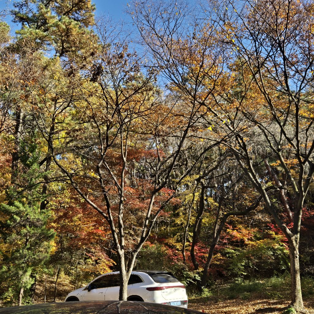 #321 姉トレイシーの選択:安楽死ではなく本を書く