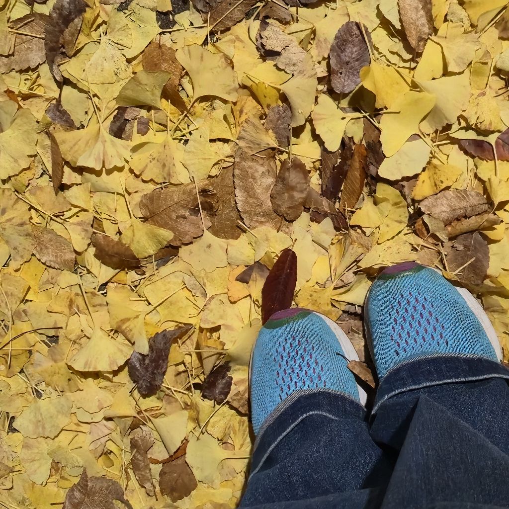 #322 小説を書いたら✏️作家に出会えた