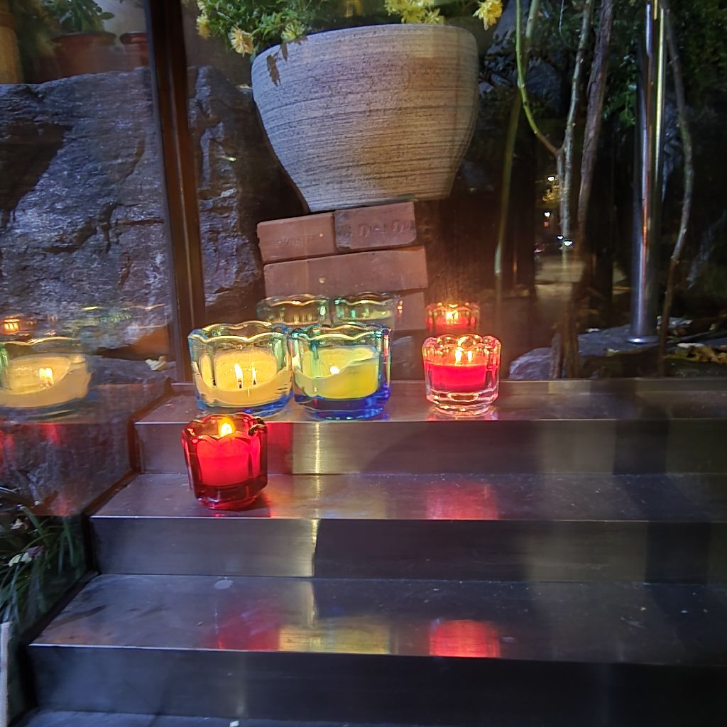 #329 良い方を選ぶ🌷理性と共感を！