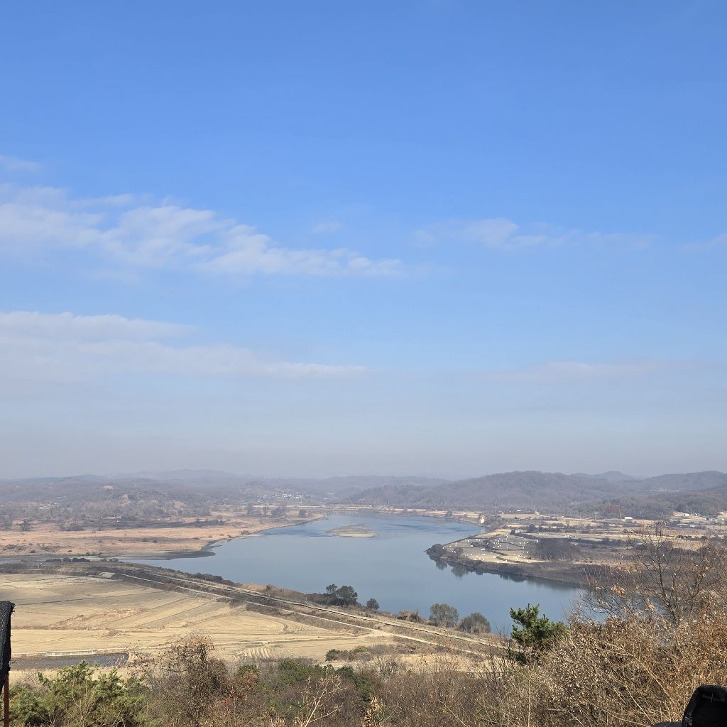 #333 今日🌷王であるキリストの日