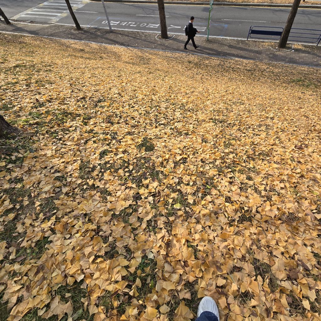 #341 さんのお話し&奇跡は本人の力