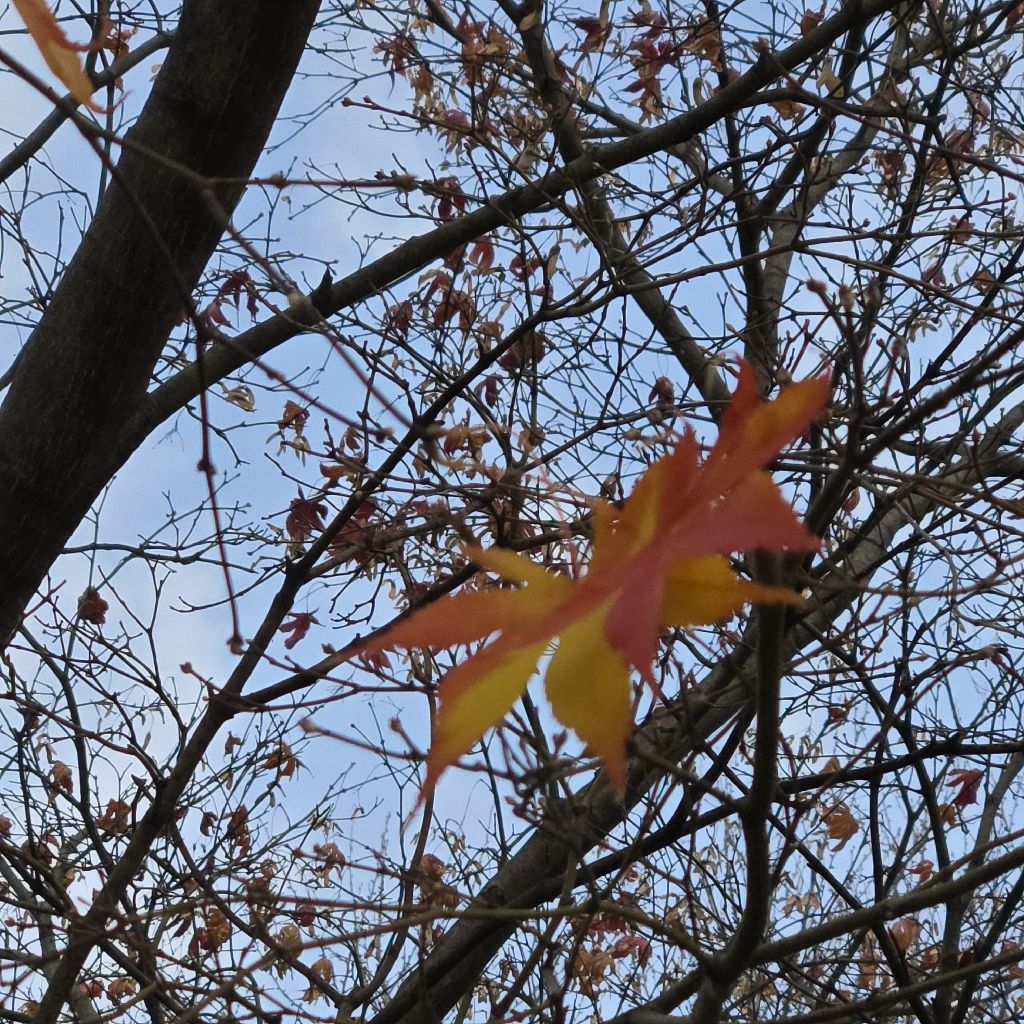 #343 じっくり話してスッキリしました