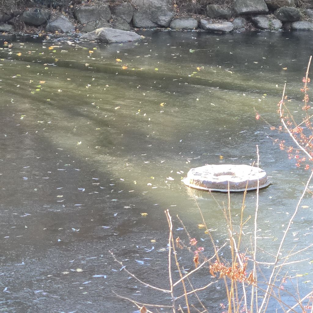 #344 極寒のソウルより