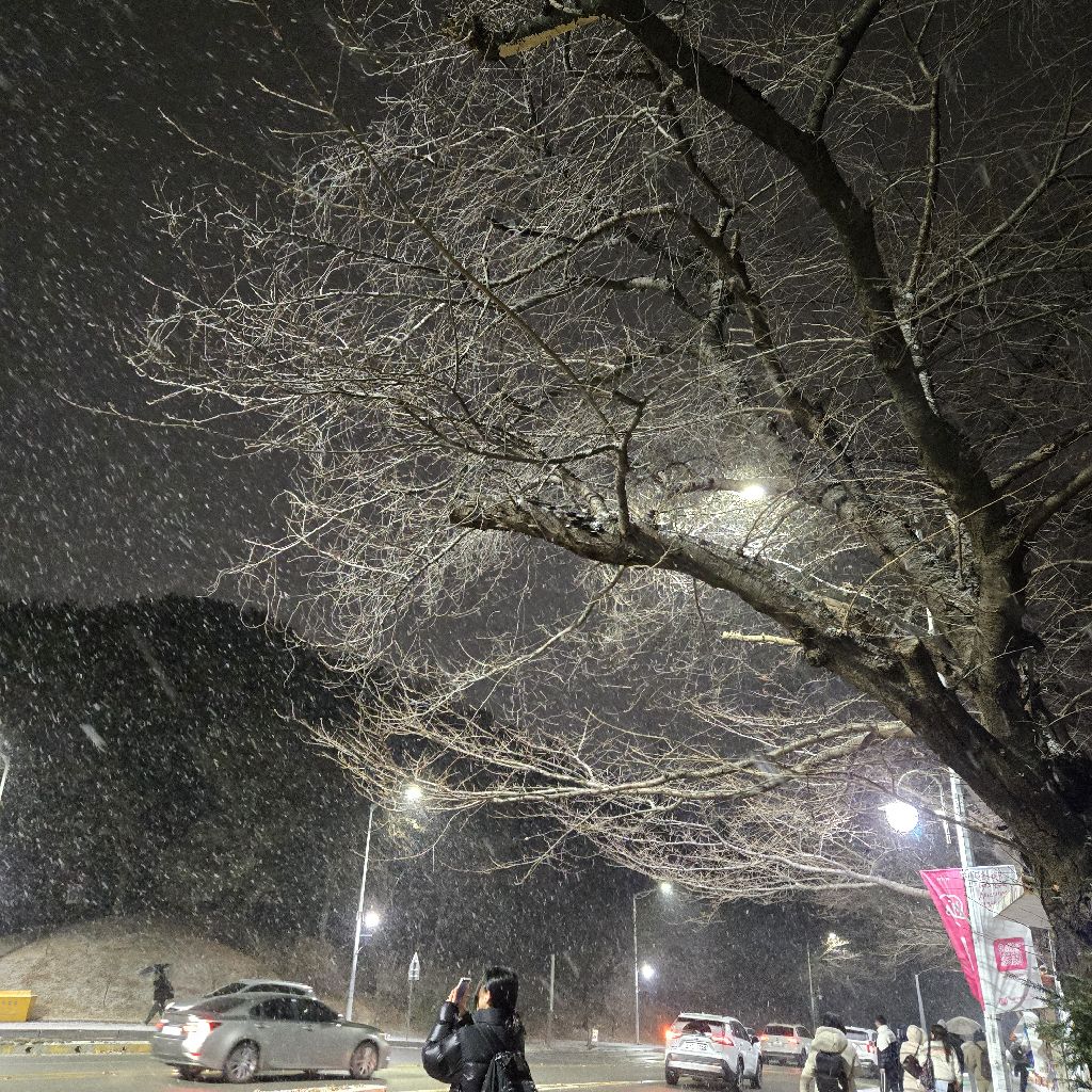 #345 初雪！魂の記憶✨