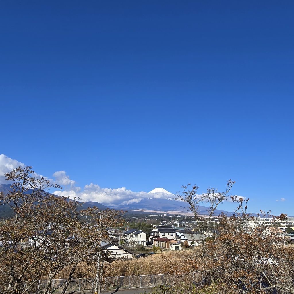 #370 謹賀新年🙆どんな一年&一日にしたいですか？