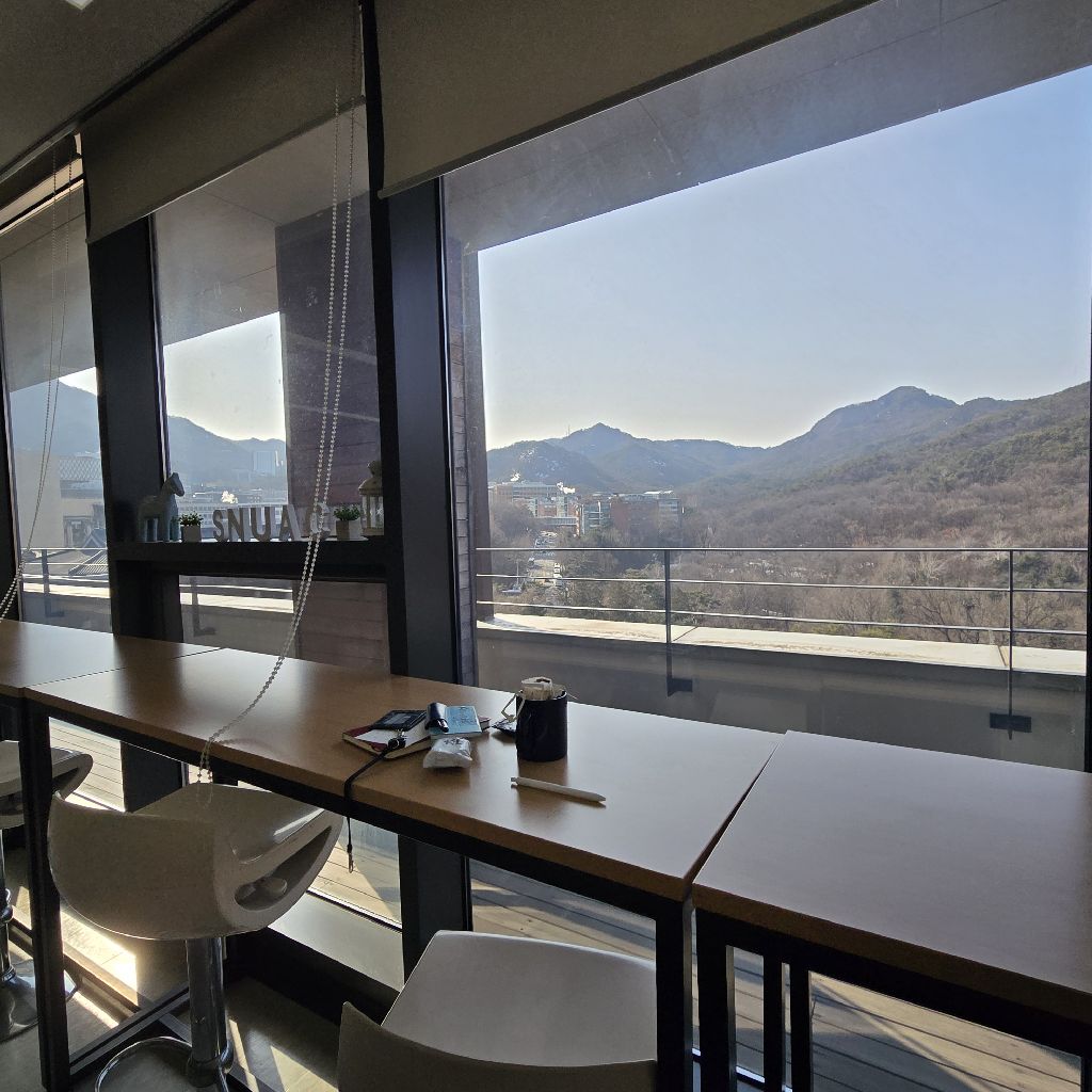 #381 歩くカムサハムニダ瞑想🚶‍♀️