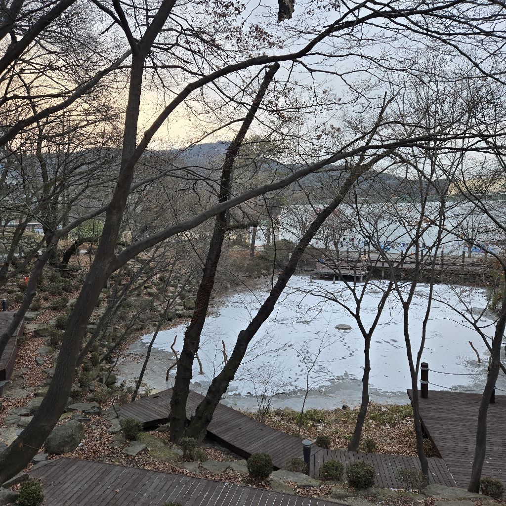 #390 日本に発送しました💌自然の中で自分を差し出す⛄