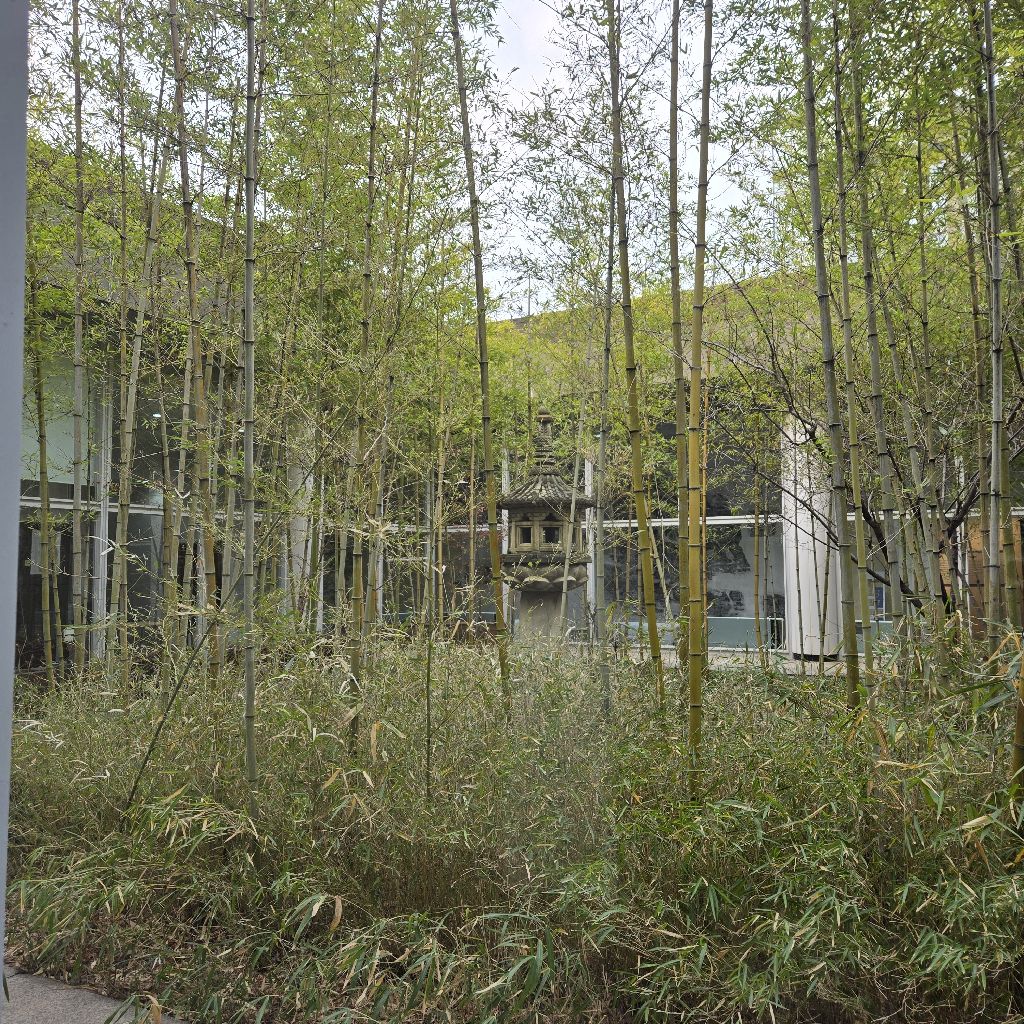 #395 悲しみの海だから、光がある