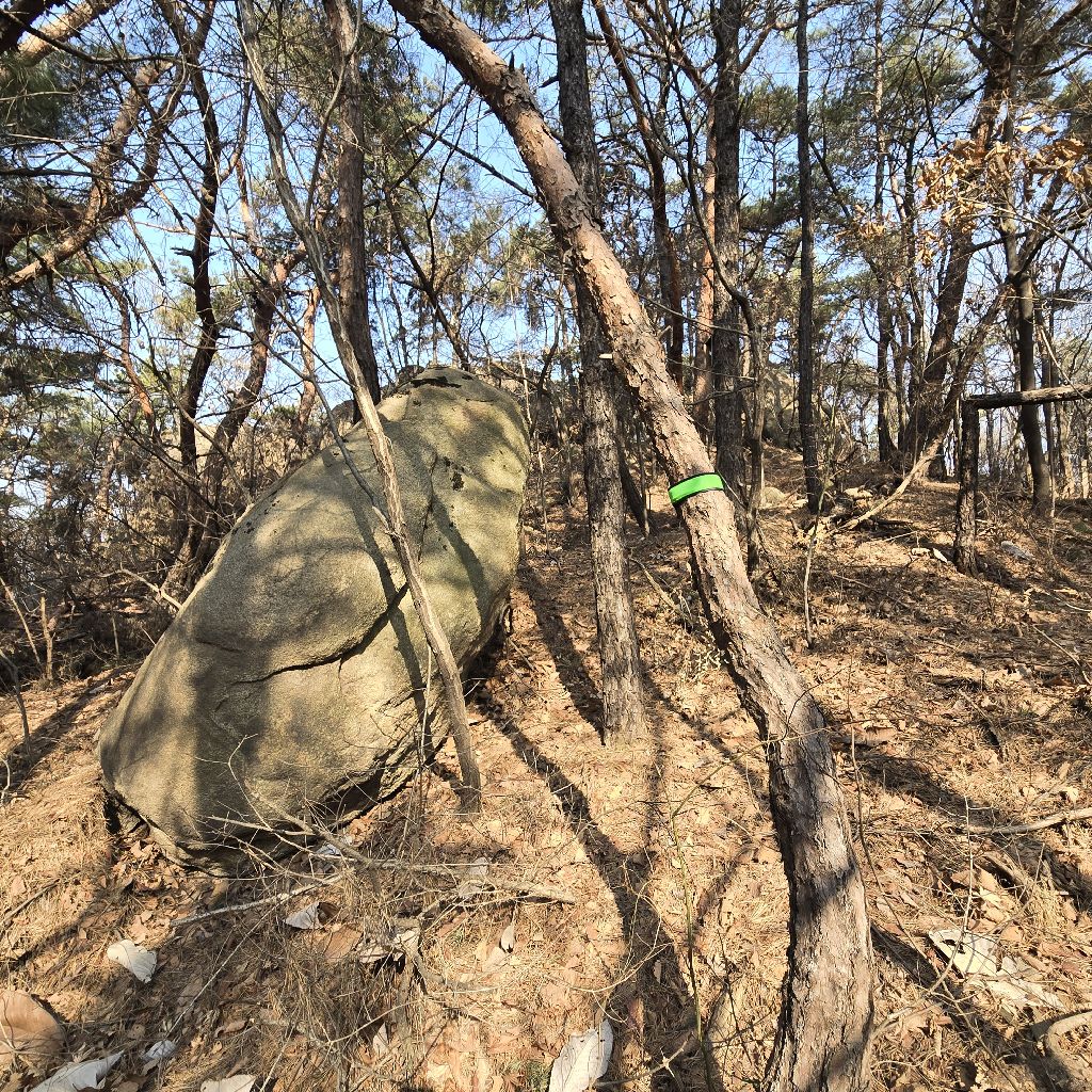 #403 目の前の石で遠くの山頂の岩が隠れてました〜