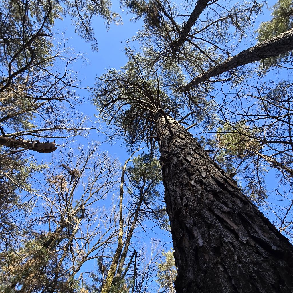 #407 山歩きトーク⛰️本の感想📗