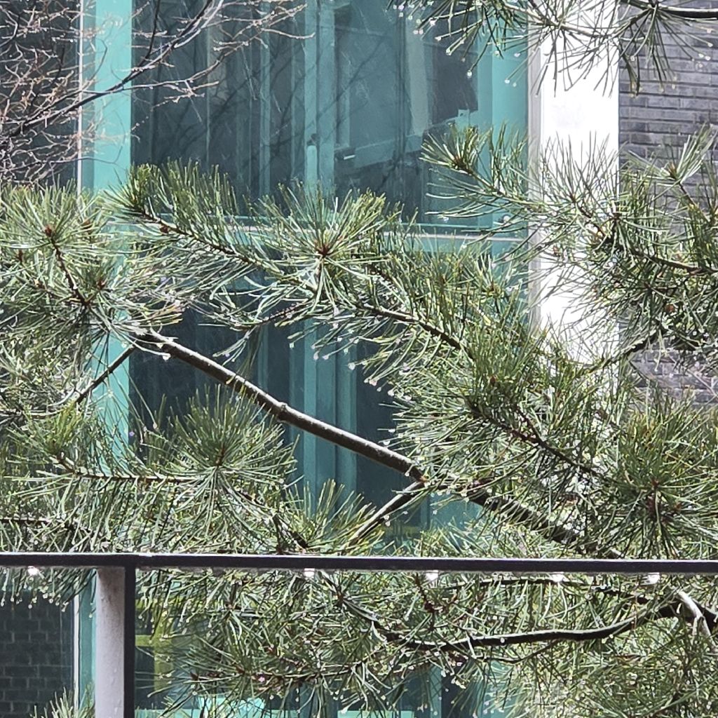 #411 エクスタシー、解き放て！