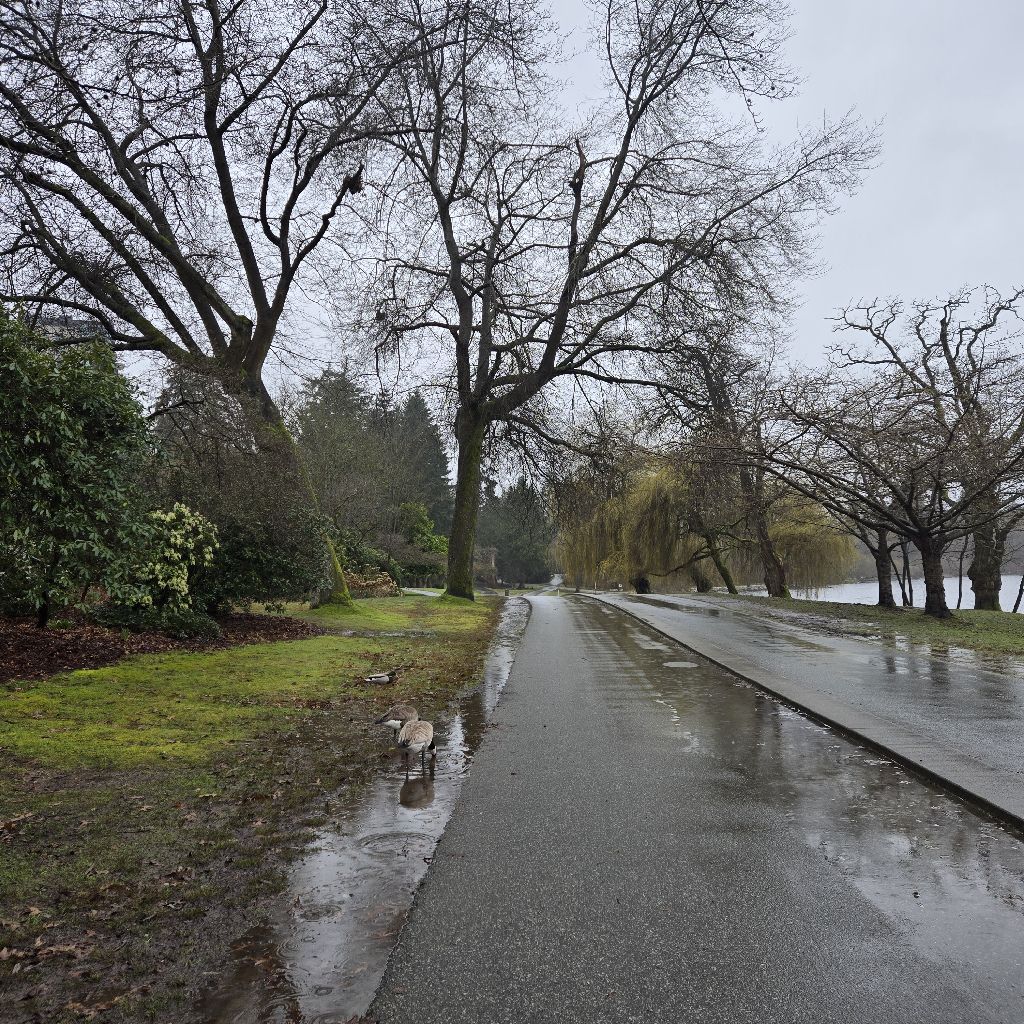 #319 バンクーバ・スタンレーパークより☔