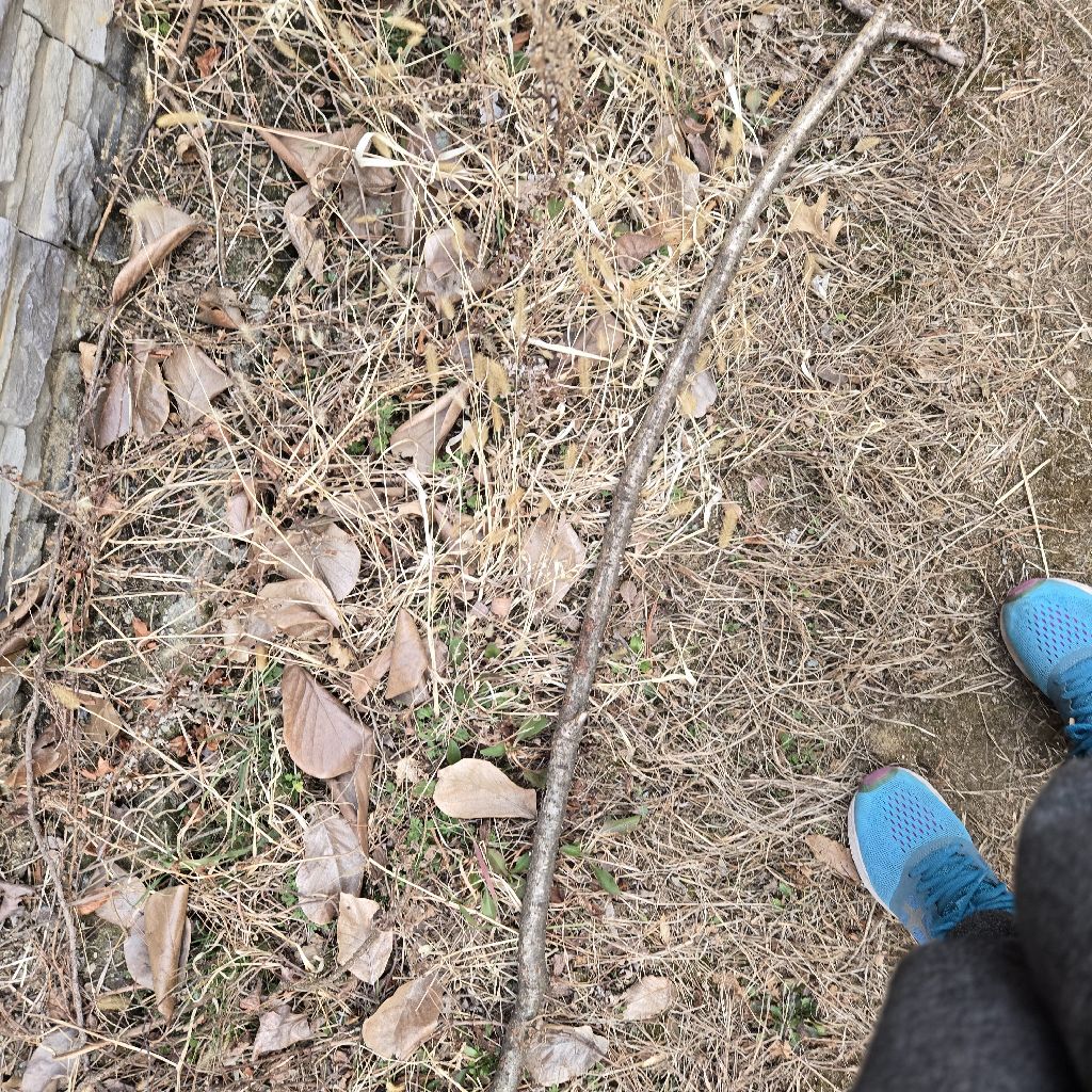 #422 聖地巡礼中の気づき