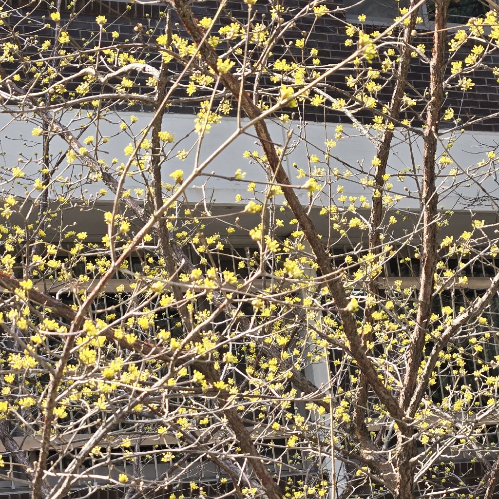 #427 挫折せずコツコツ大事ナリ