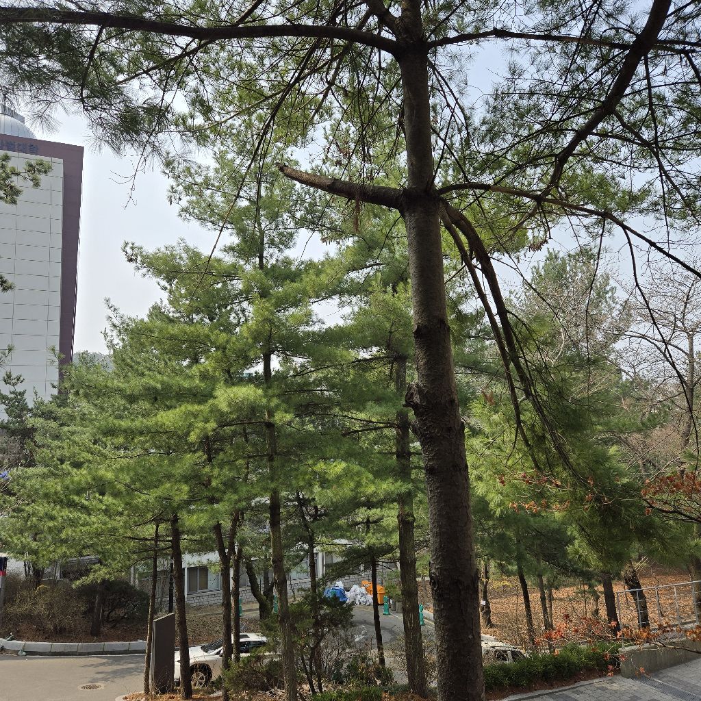 #430 十字架の道行き-過去と未来