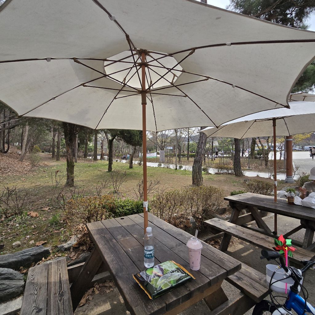 #432 できると言えばできる😊&枝の主日Palm Sunday🌿