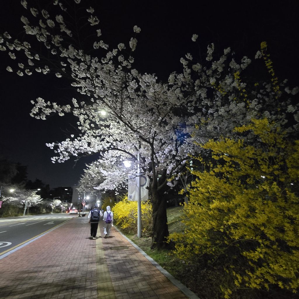 #438 お便り感謝🌸🫶&若者との交流