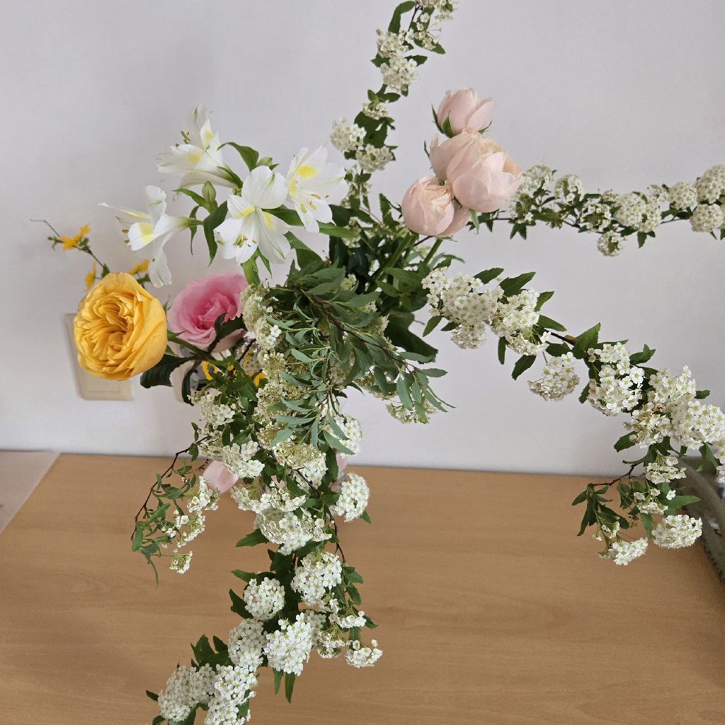 #441 📗なぜ私に？という悲劇から