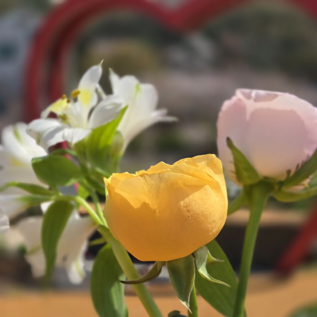 #443 Lectio Divinaで古傷に出会う