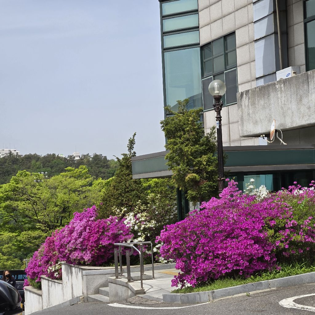 #446 語ってるのでは？