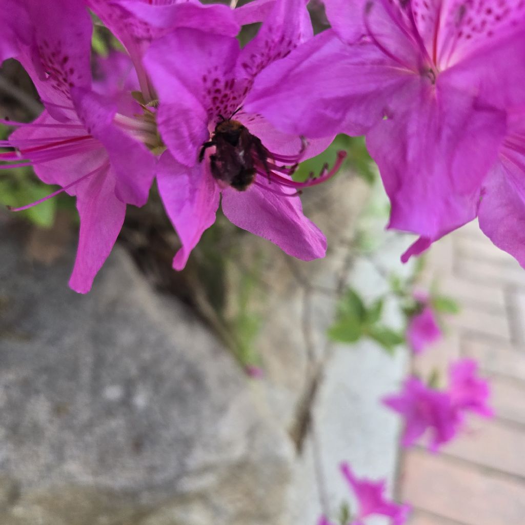 #451 あれこれまとめ🙆🐝