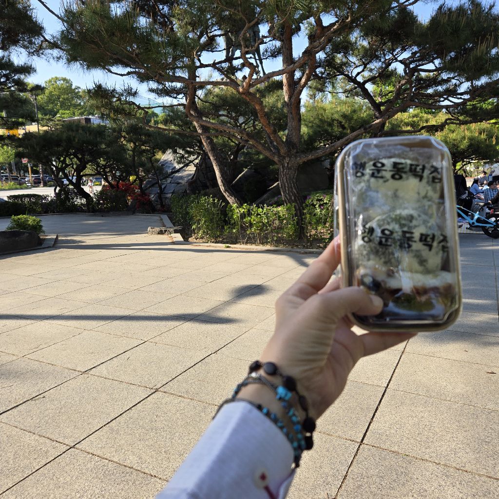 #452 早く渡らなくちゃ！