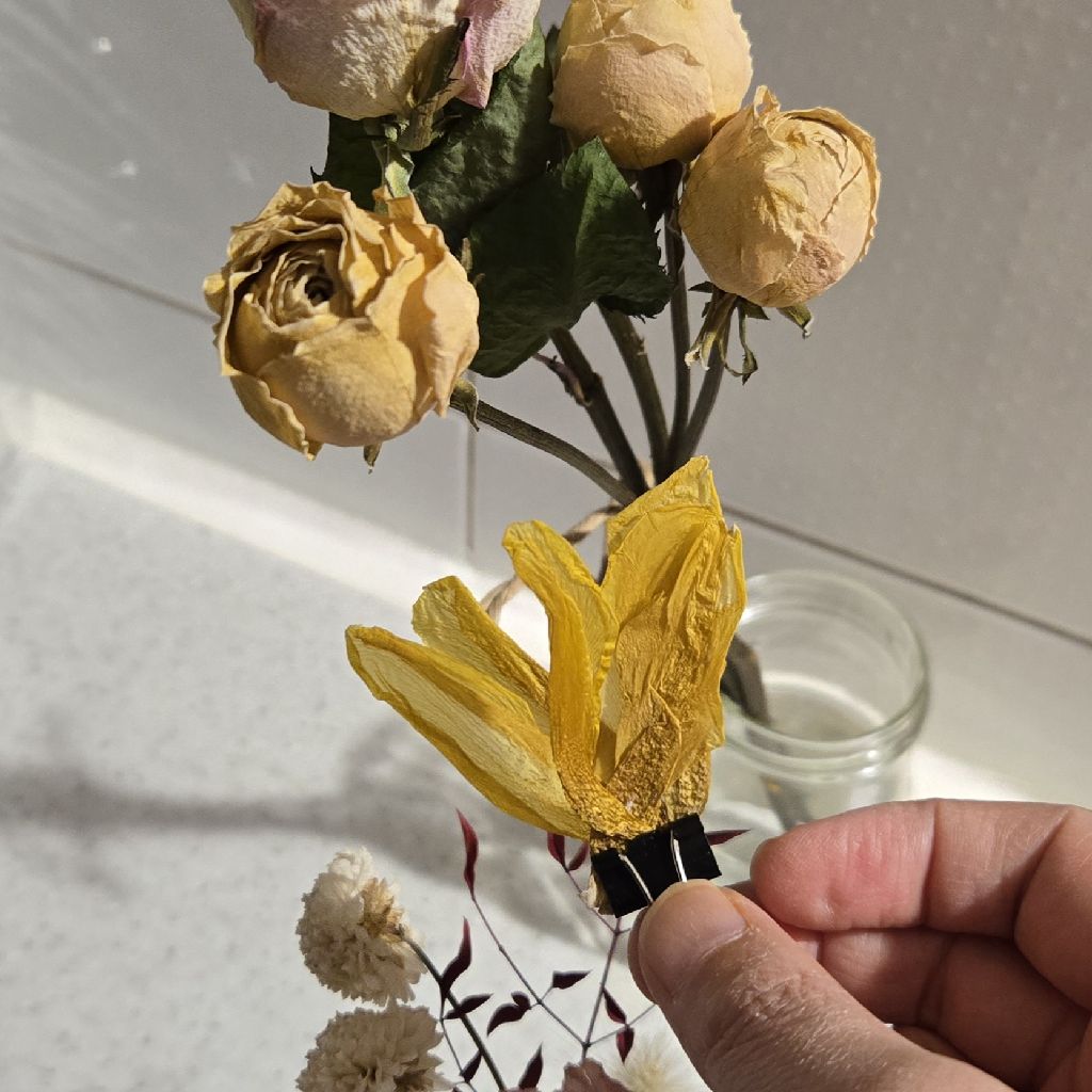 #455 お便り感謝ープラダ2