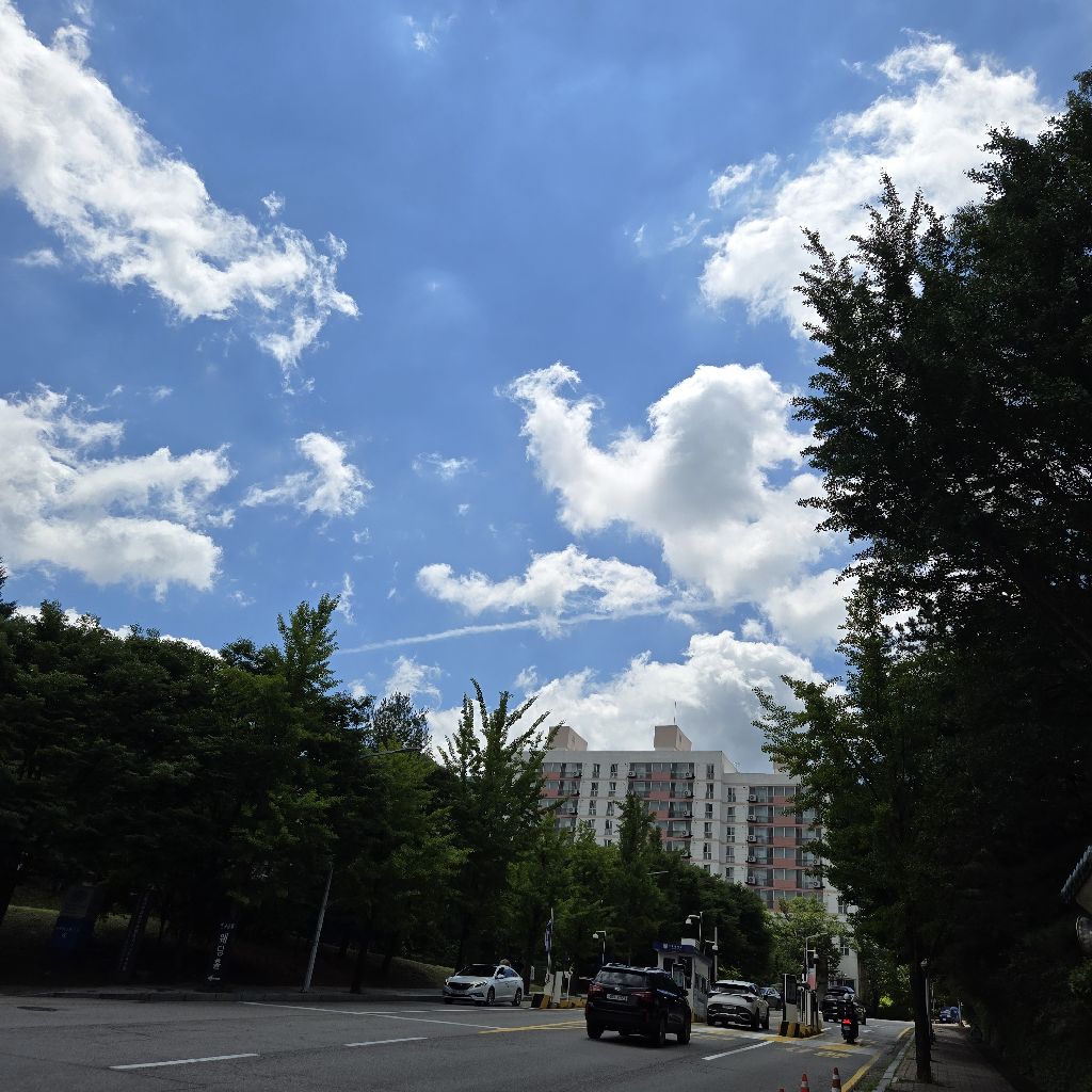 #471 森からトーク