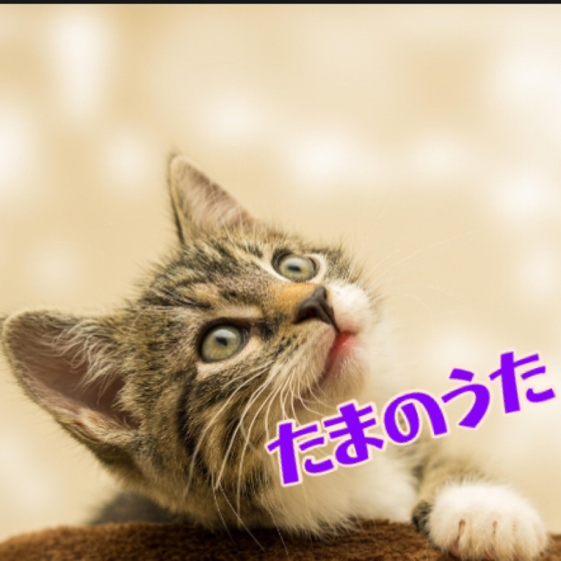 たまのうた/ちっぷversion