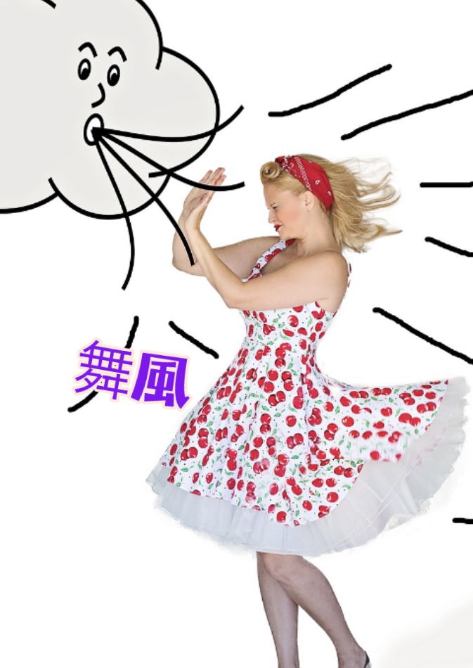 舞風歌ってみました